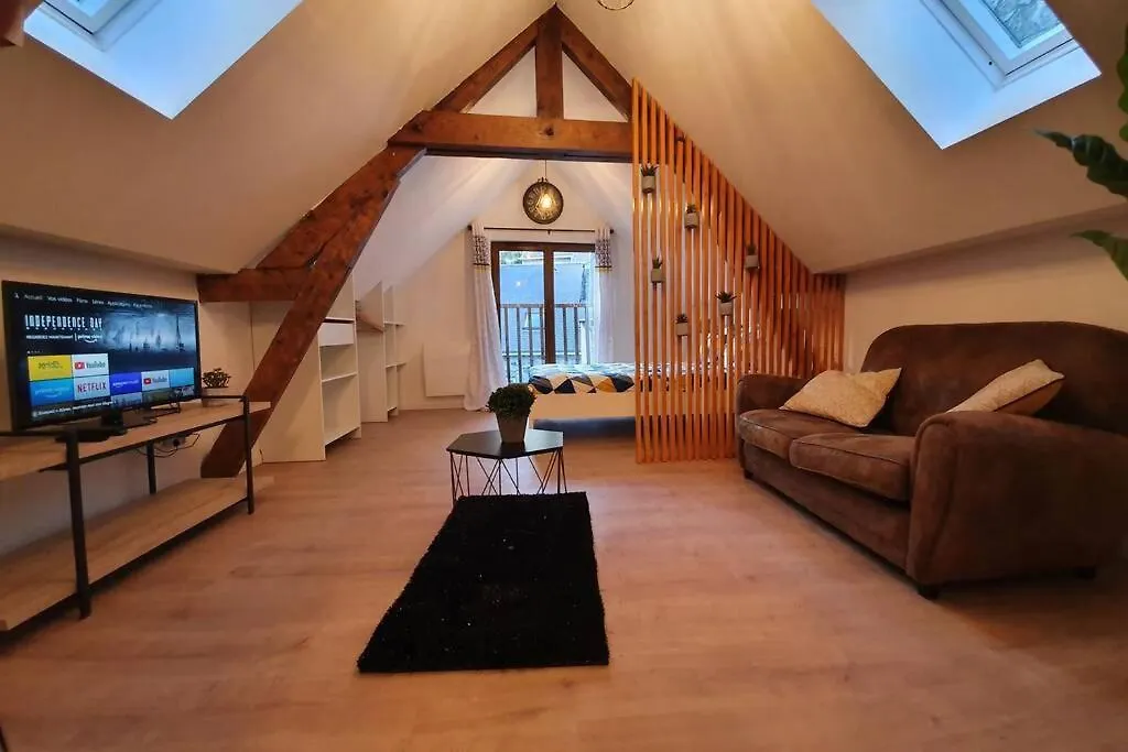 Apartamento Charmant Studio Hyper Centre Lourdes Francia